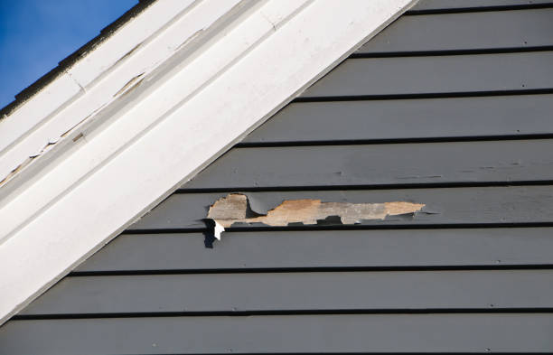 Best Siding Removal and Disposal  in Harlem, FL